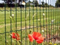 Pourquoi choisir le treillis soudé comme clôture ?